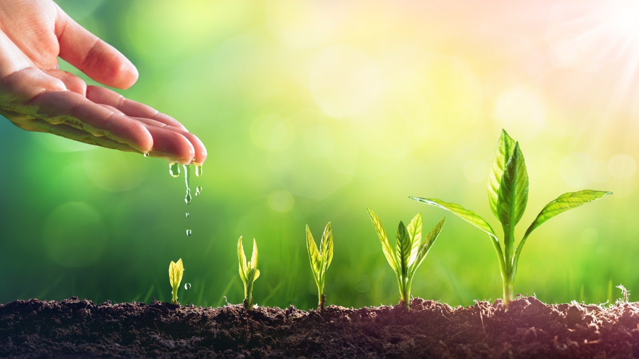 Towards Understanding Interdependence of the Climate and Biodiversity Crises