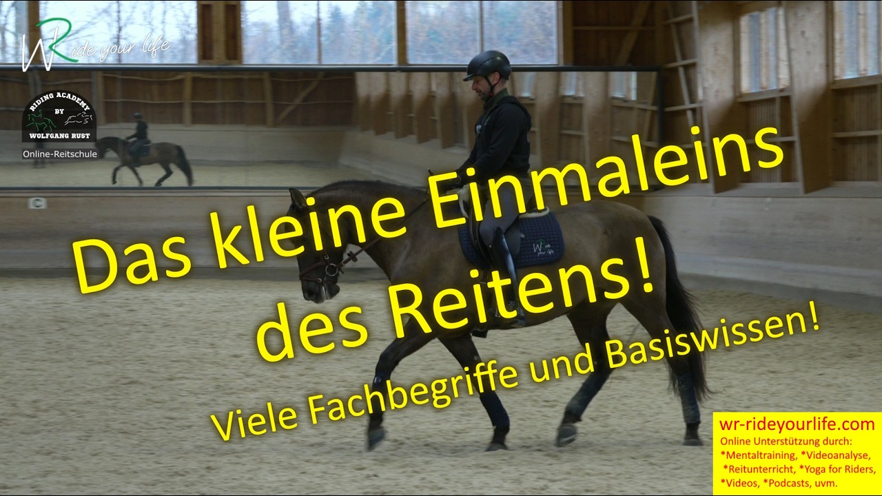 F206 Estrella 2: Das kleine Einmaleins des Reitens! Pferde Reiten lernen mit verständlichen Aufbau!