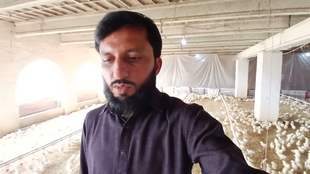 Asif poultry fom 
