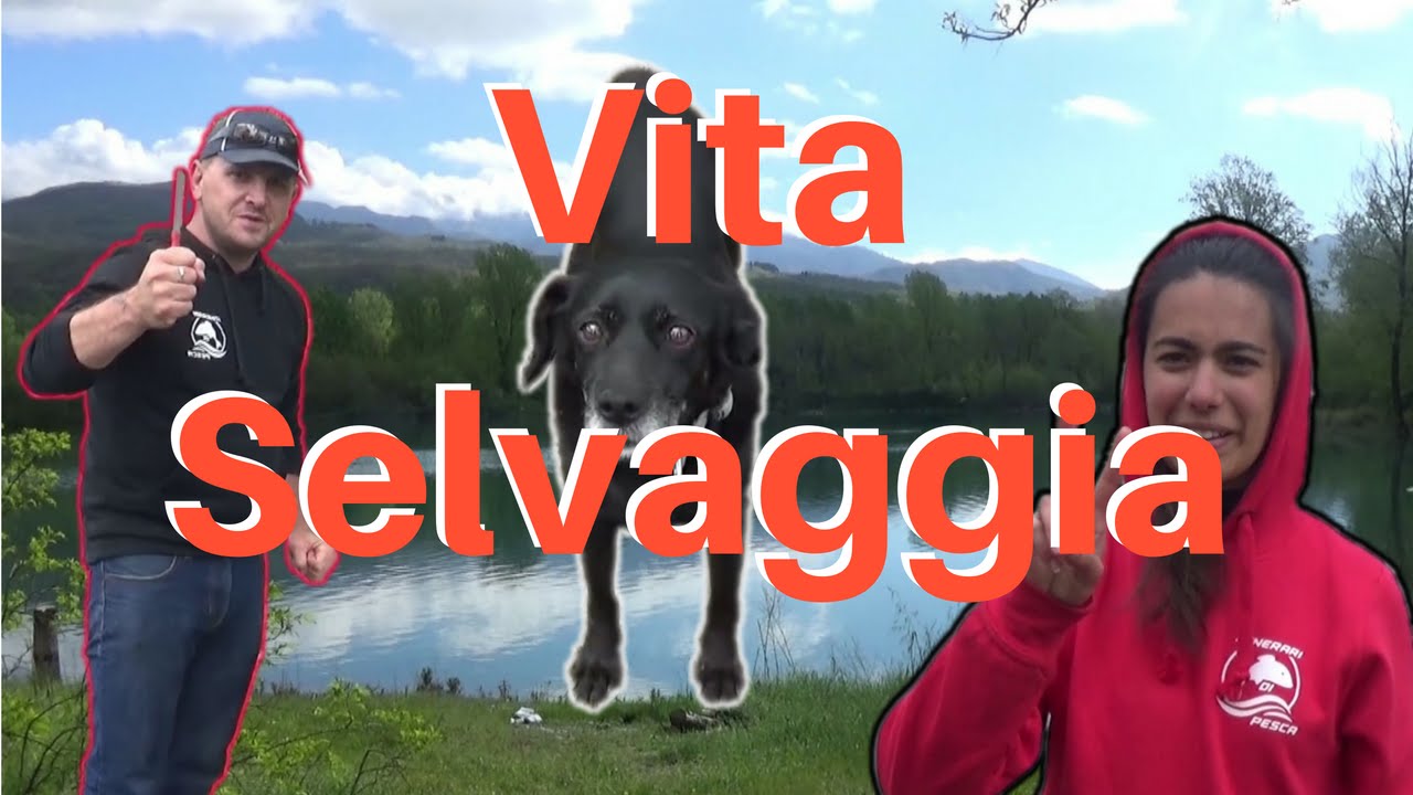 COME PESCARE LE CARPE IN LAGO (ABBANDONATO) - I.D.P. #11 - FEEDER - LAGO ALICE