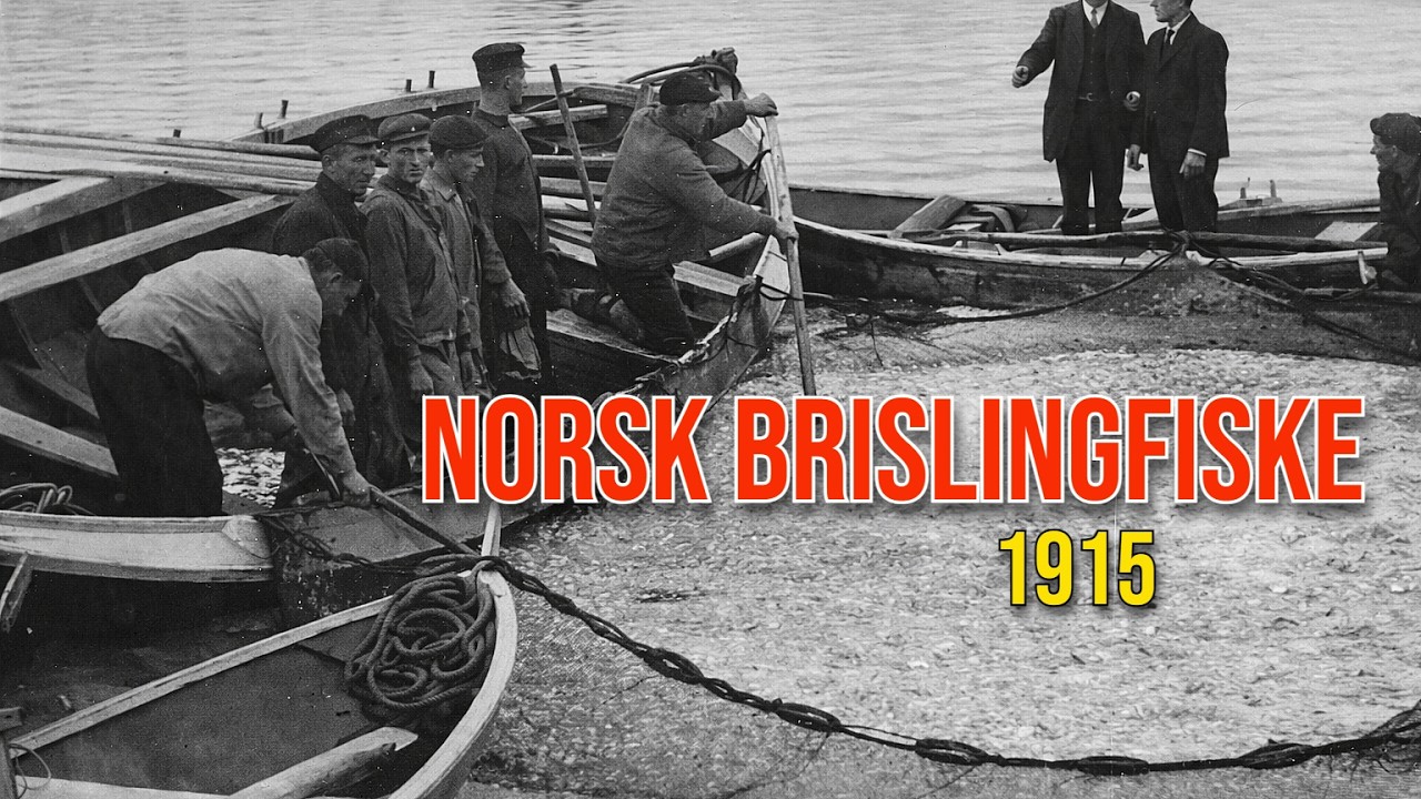 Norsk Sardin- og Ansjosindustri - 1915. Bjellands Hermetikkfabrikk.
