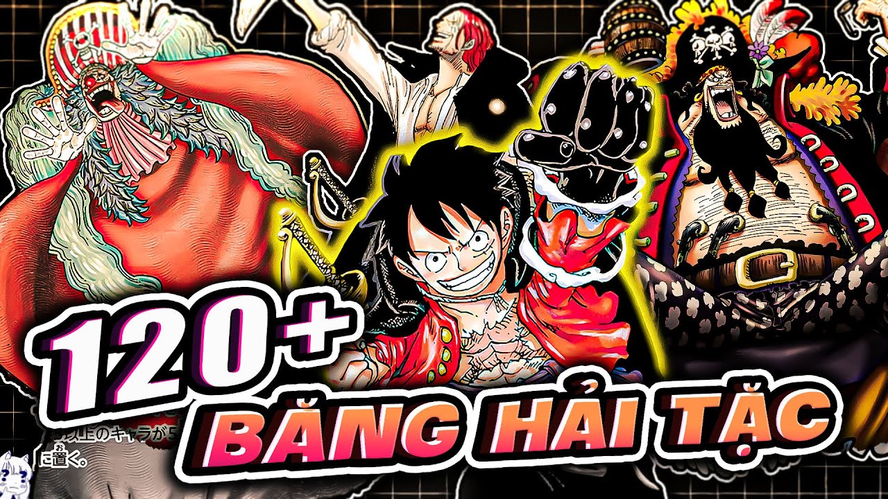 TỔNG HỢP 120 BĂNG HẢI TẶC TRONG ONE PIECE | ONE PIECE