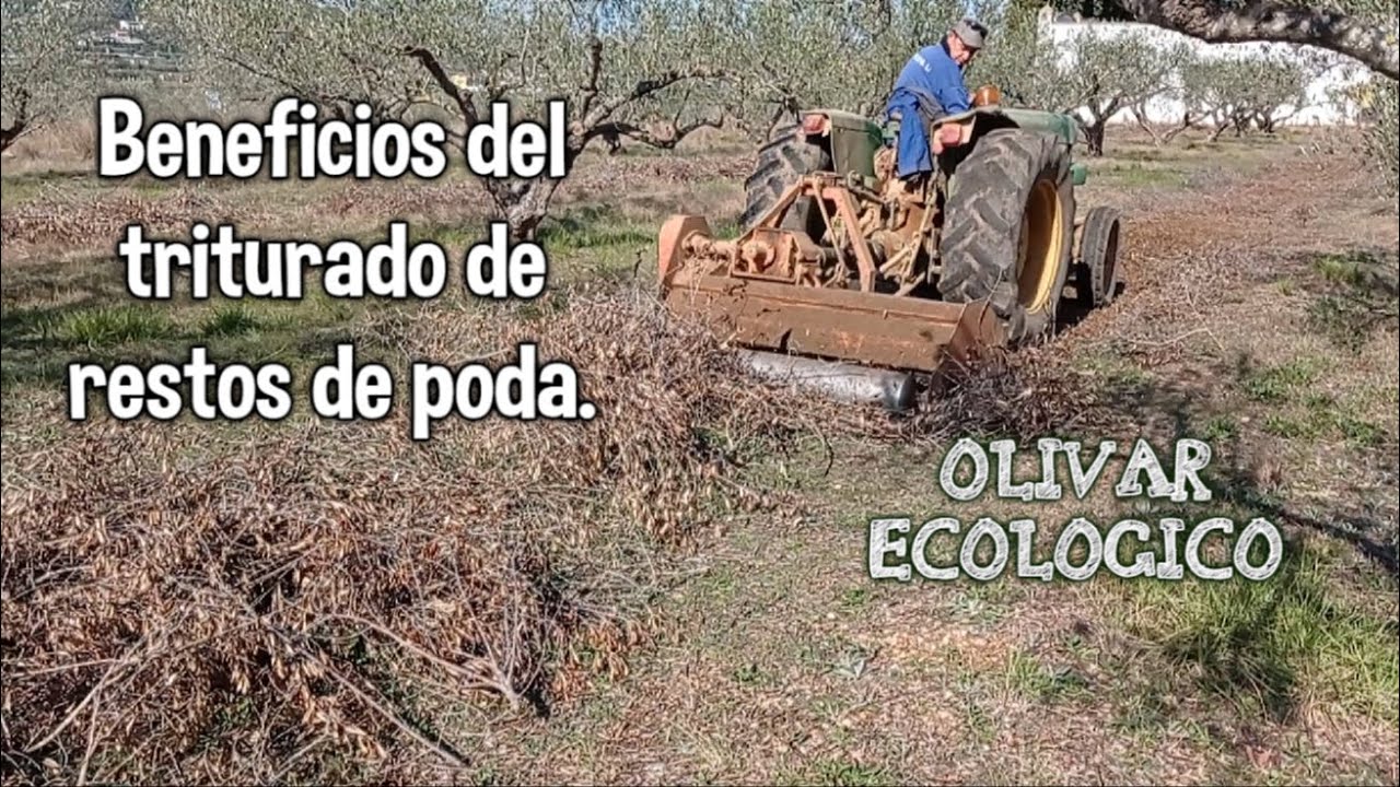 Como crear ACOLCHADO con CUBIERTA VEGETAL Inerte. Triturado de restos de poda.