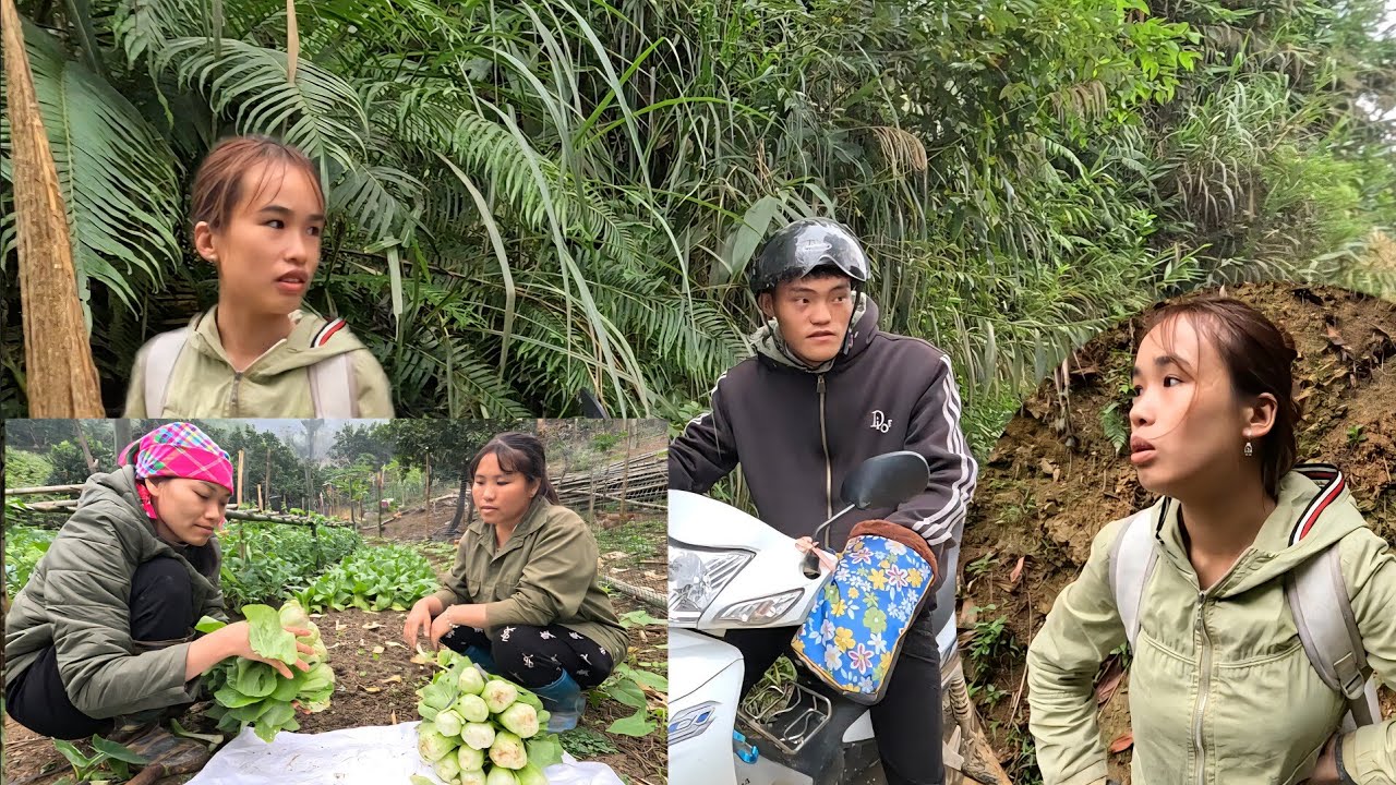 One side sells vegetables. The other side has to avoid paying motorbike taxi fares. Ly Vy Ca 