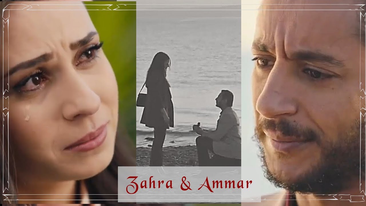 Zahra & Ammar | Mashaer