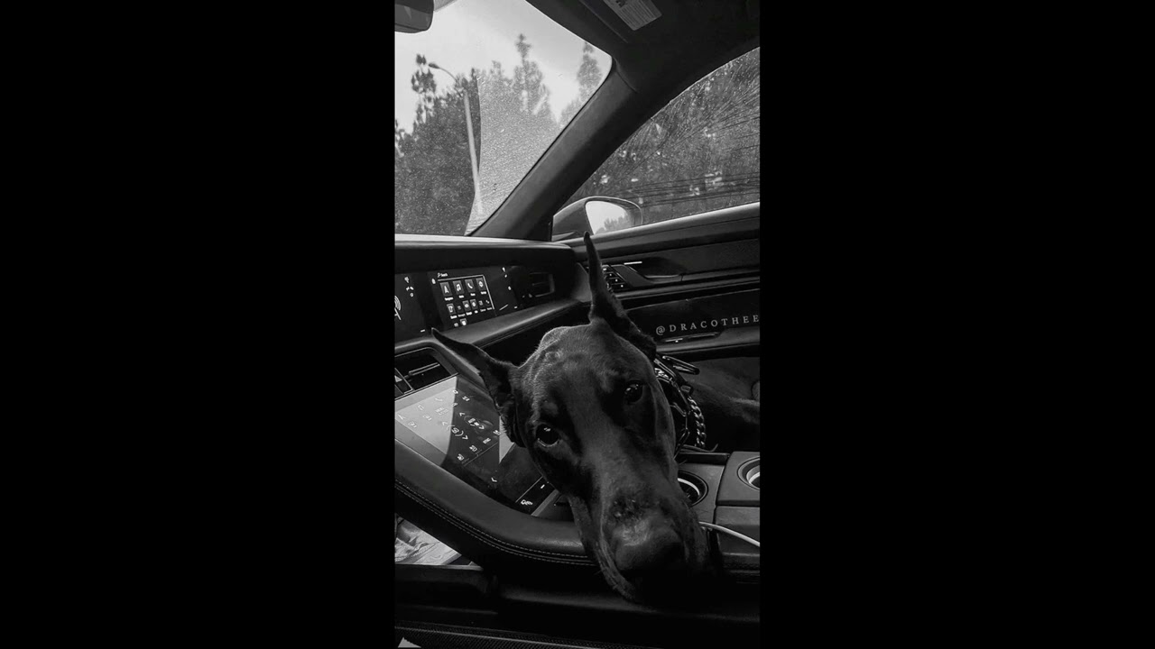[ FREE ] Freestyle Rap Beat - 