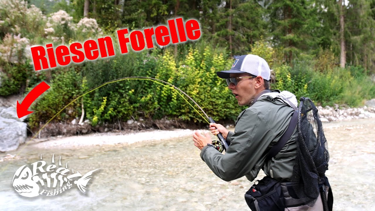 In diesem Bergbach leben RIESEN FORELLEN // Angeln in &Ouml;sterreich ft. @colincatchup