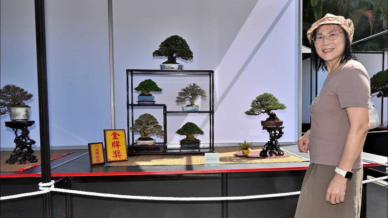 2025 台北漢風盆景展 Taipei Bonsai Exhibition #士林官邸 #天然奇石 #OzzyOsbourne #Mama, I'm Coming Home