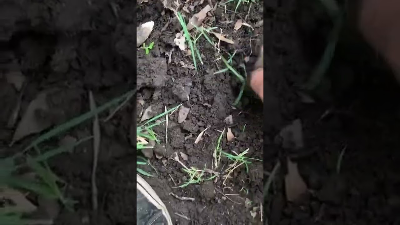 Toy Hot Wheel Found Metal Detecting