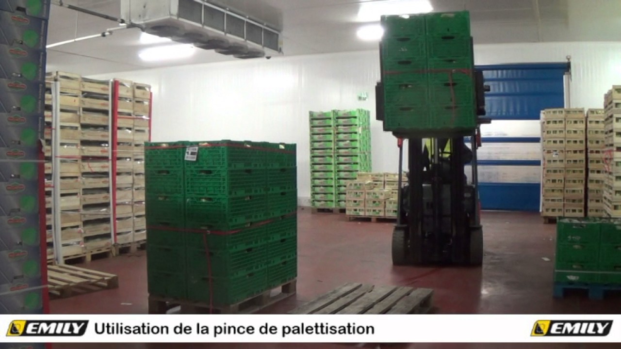 Pince de palettisation Emily