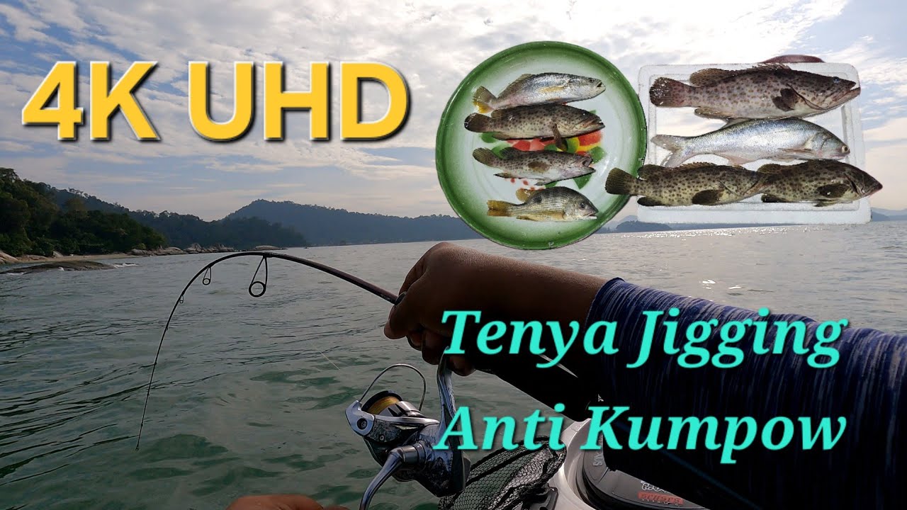 Tenya Jigging Anti Kumpow | Cara Pasang Umpan Udang Hidup l 4K UHD 60fps Video
