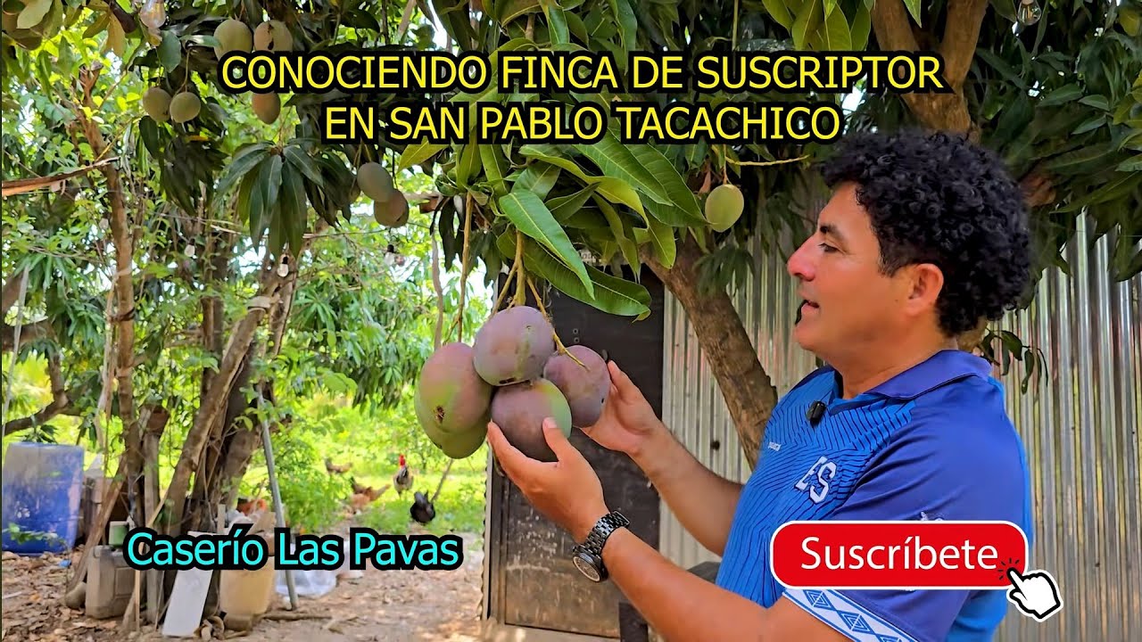 Nos Fuímos a Caserío Las Pavas en San Pablo Tacachico, Al Río Lempa, EL SALVADOR 2025.