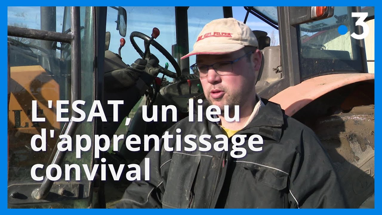 Travailler lorsque l'on est en situation de handicap grâce aux ESAT (2/4)