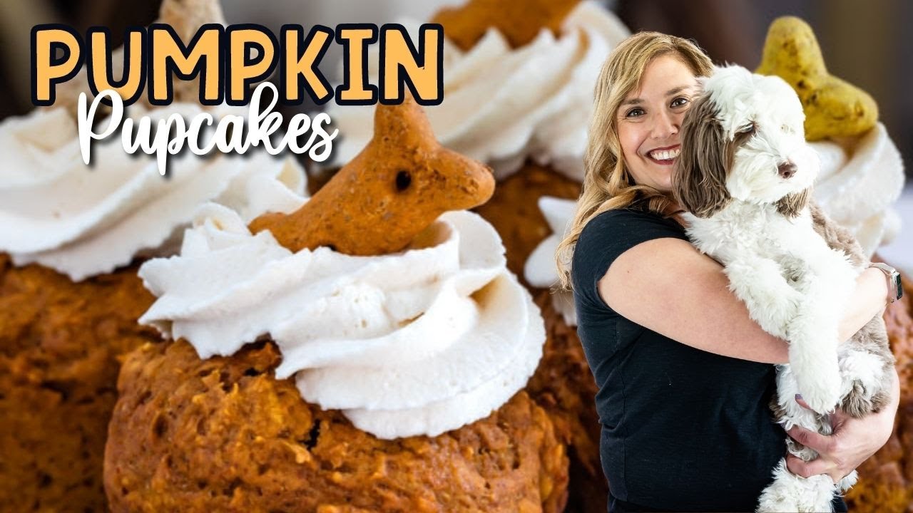 Easy Dog Cupcakes (Pumpkin Pupcakes)