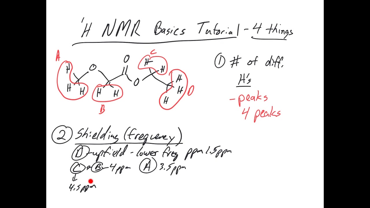 NMR Basics Tutorial-what does it tell us?