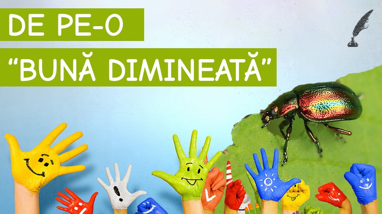 De pe-o „buna dimineata” - Otilia Cazimir
