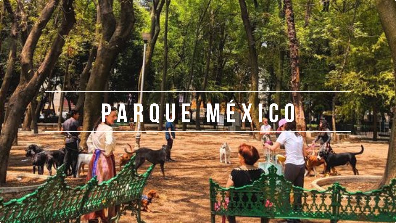 Parque M&eacute;xico