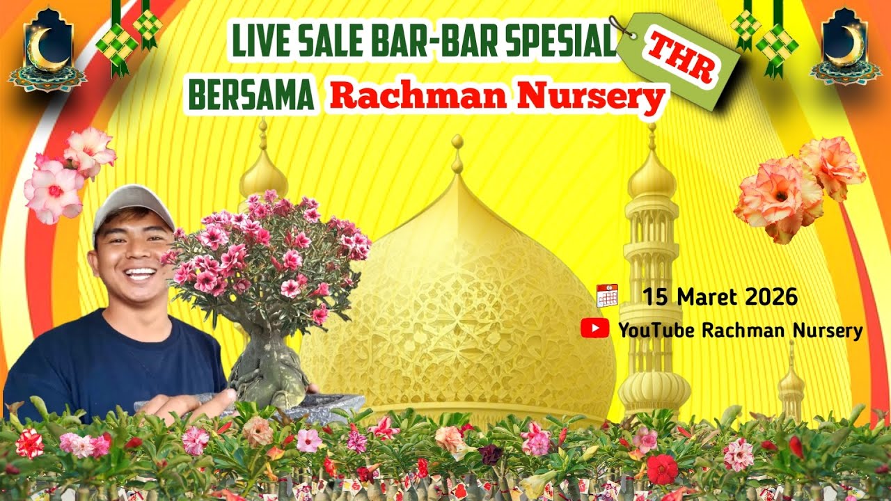 LIVE FLASH SALE ADENIUM BAR-BAR 🔥 BERSAMA RACHMAN NURSERY SPESIAL THR-AN ❗️(16 Maret 2026)