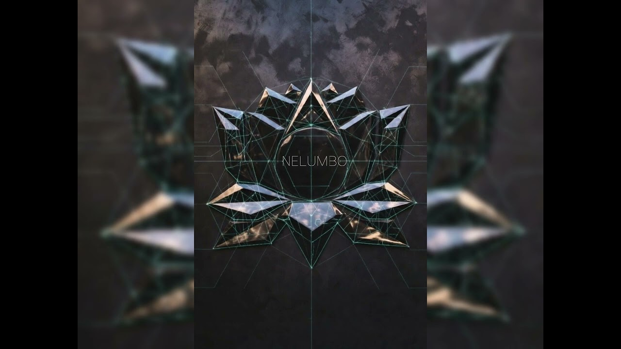 I5PA5 - Nelumbo