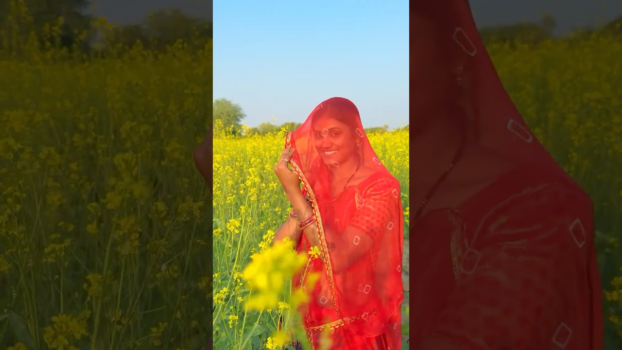 सरसों के खेत 😍 #kheti #sarson #rajasthan #village #villagelife #youtubeshorts #shorts #desi #video