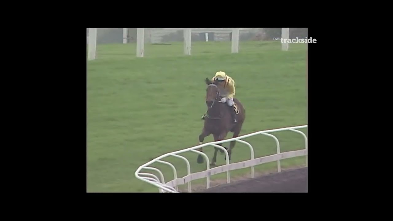 20 Sep 03 TARA Soft INT HDL 3000m Honestly  S.Sakai