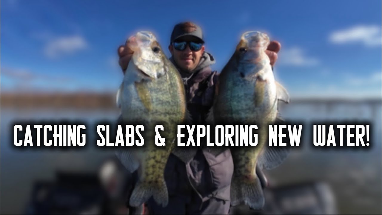 Crappie Fishing Wacking & Stacking!