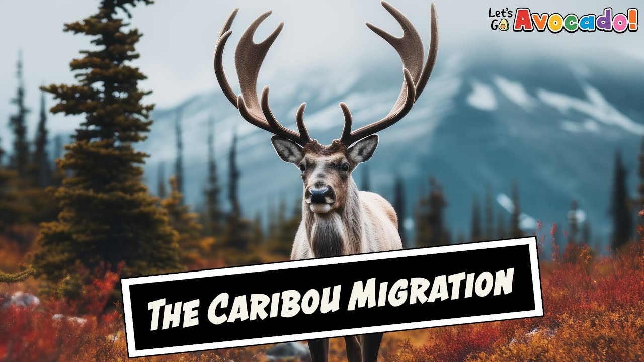 The Caribou Migration: An Iconic Journey Across The Arctic Tundra