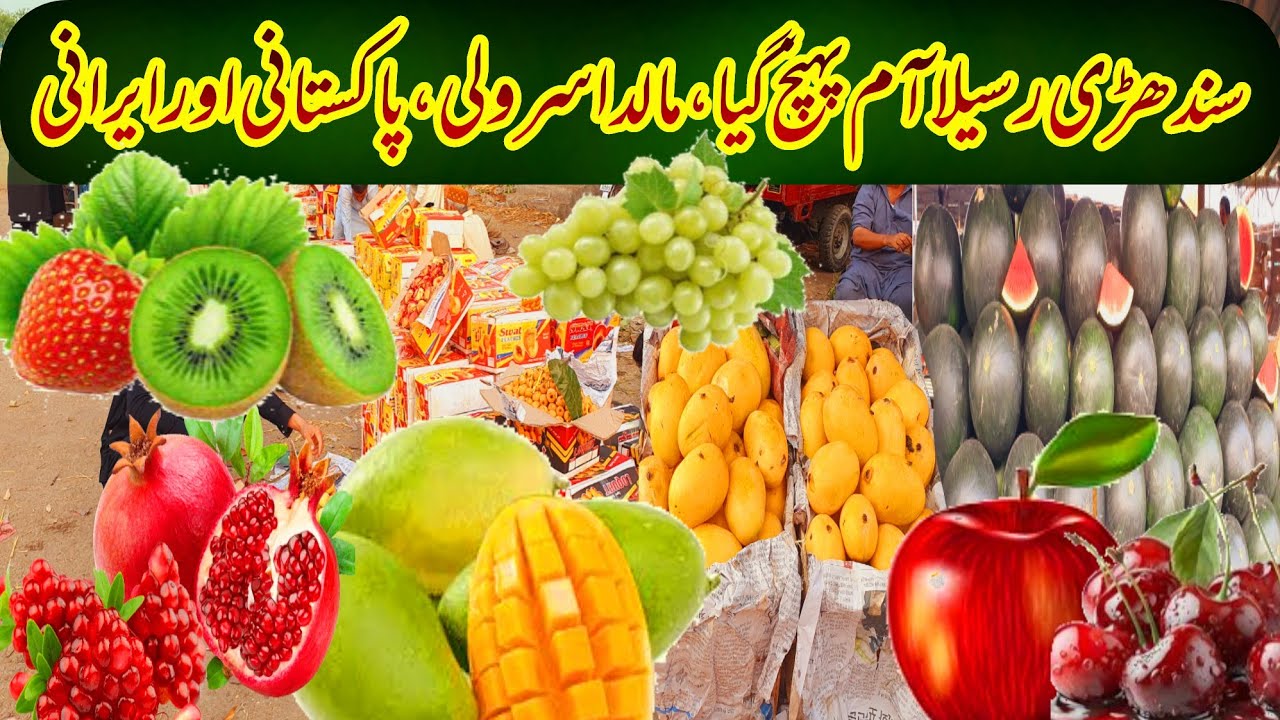 Mango Pakistan Best Quality | Local and Imported Fruits Prices | Daily Fruit Mandi Update |