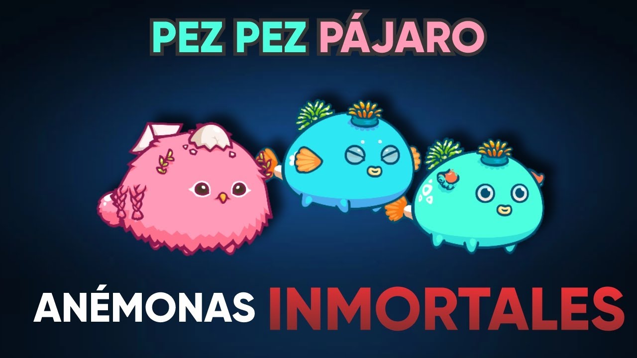 TOP 1 💎 con DOBLE ANÉMONA | Pez Pez Pajaro | Axie Infinity