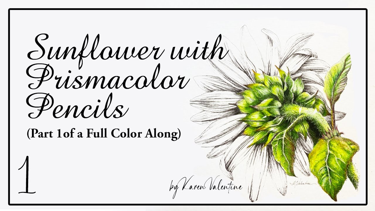 Coloring a Sunflower with Prismacolor Pencils (Part 1)
