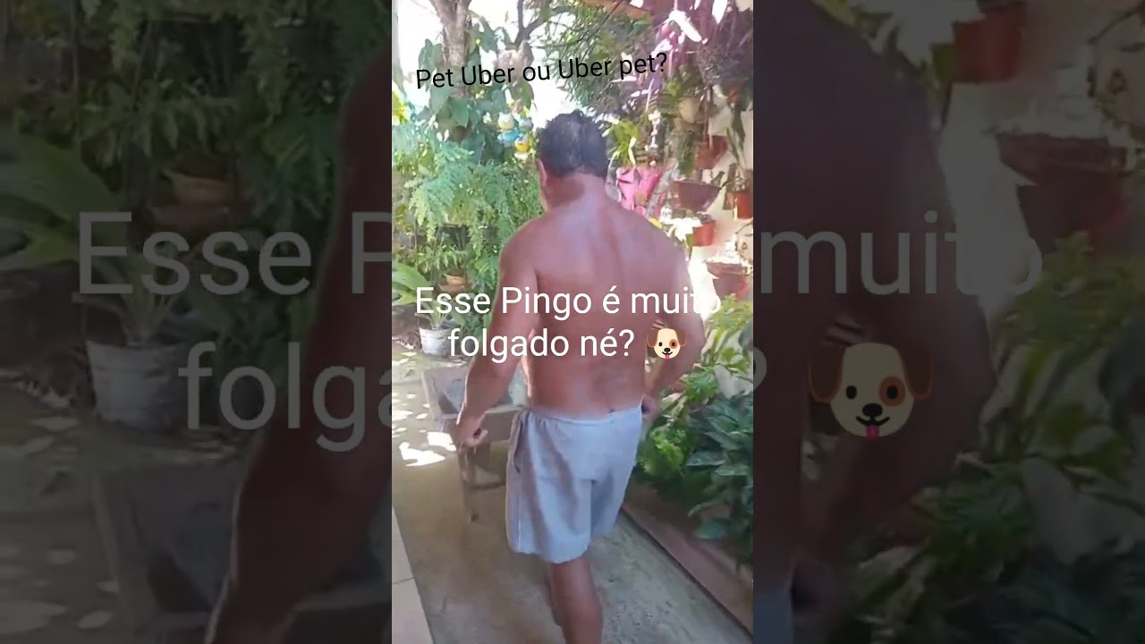 Pet Uber ou Uber Pet??? 🐶🐶🐶