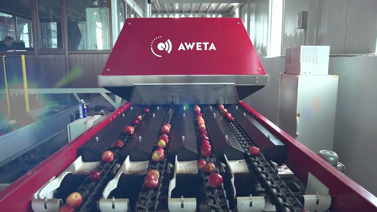 ESPOMAK | AWETA | Apple sorting & grading line