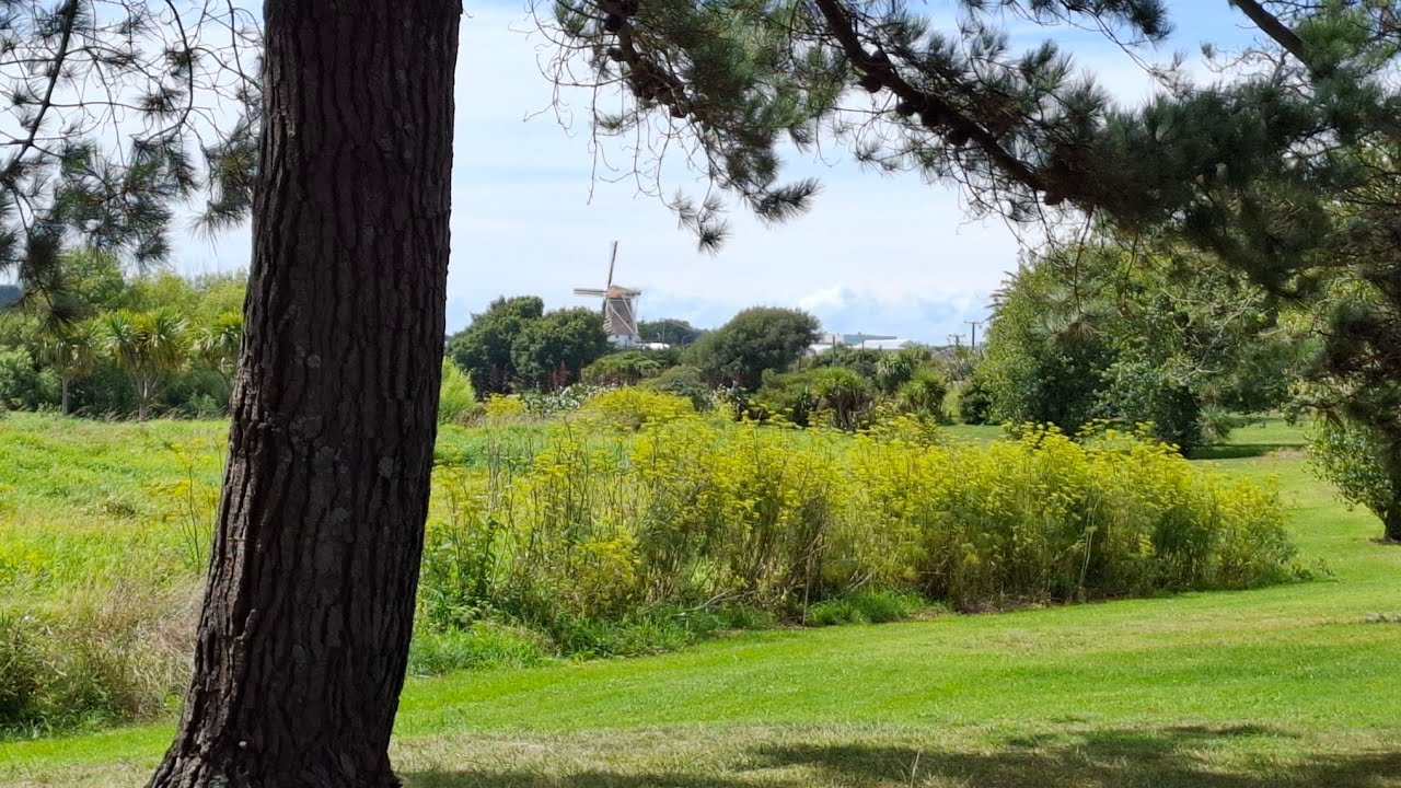  Live By The River In Foxton. #newzealand 