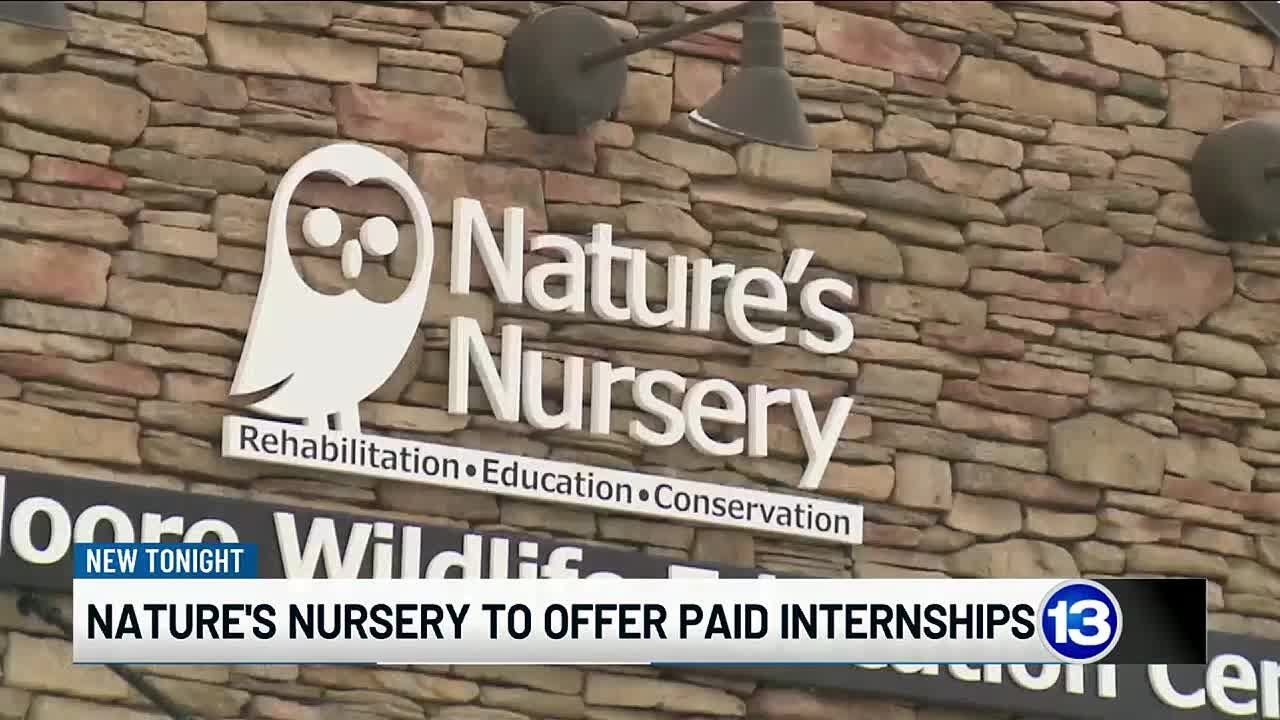 Nature&rsquo;s Nursery to offer paid internships for first time