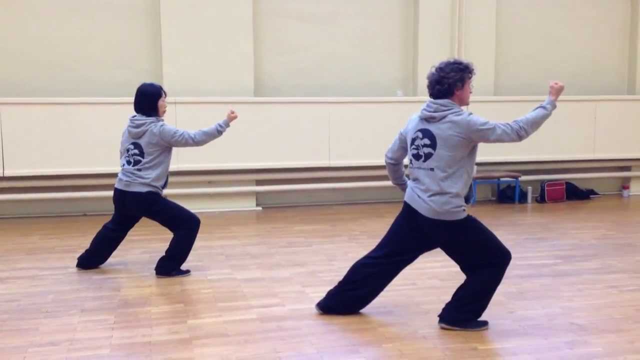 Yangsheng Tai Chi Zhang 2 - 养生太极掌（二套）