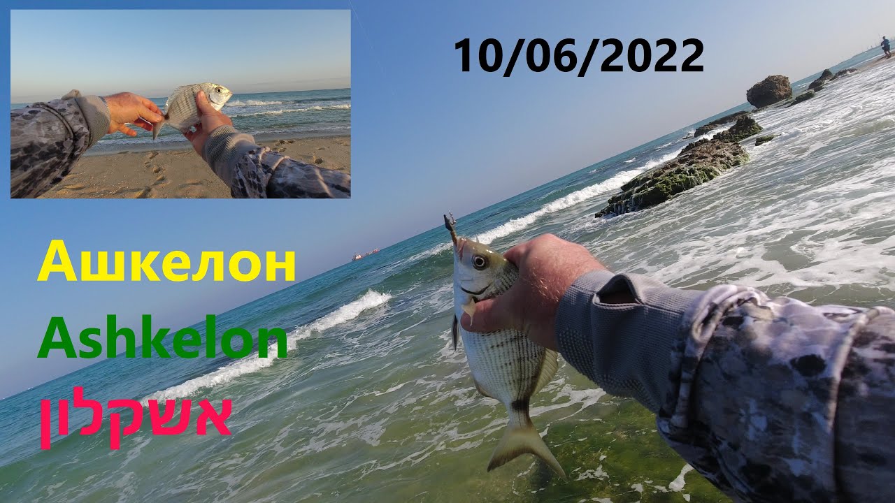 4K 10/06/2022 דיג סרגוסים אשקלון Ашкелон рыбалка морской карась Ashkelon fishing sargo Pesca sargus