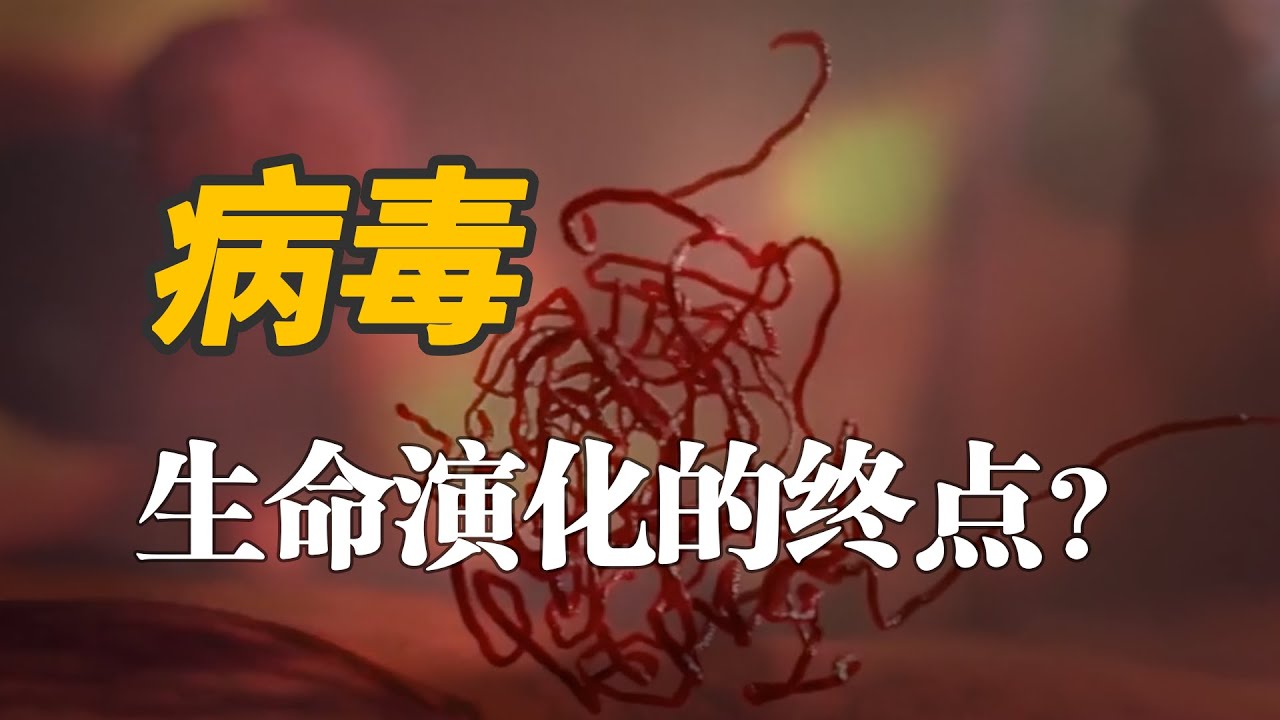 为什么会有病毒？它是所有生命演化的终点吗？【生命起源系列第三集-病毒的起源】