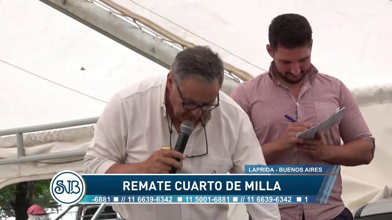 09-11-24 - REMATE CUARTO DE MILLA - SAENZ VALIENTE BULLRICH