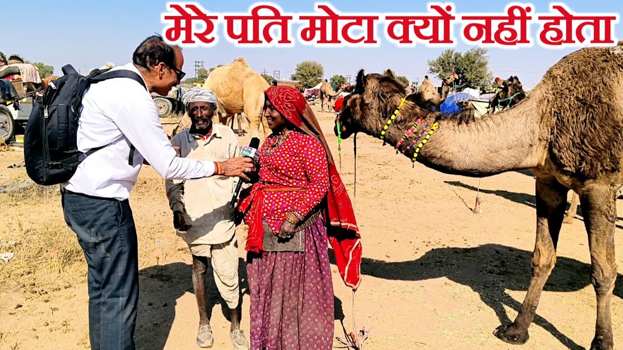 दुबला पति मोटी पत्नी जब नागौर पशु मेले में ऊंट ले कर आए तो क्या हुआ