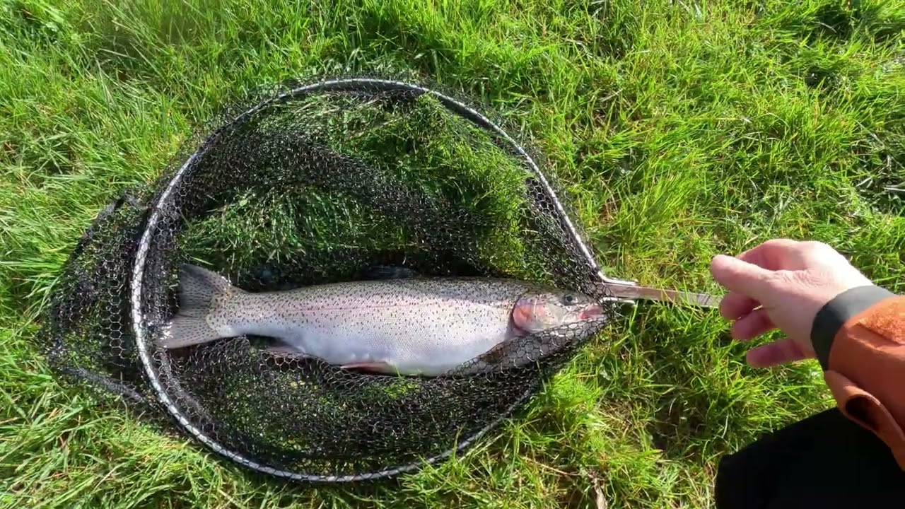 #83 : Fly Fishing at Rockbourne Trout Fishery