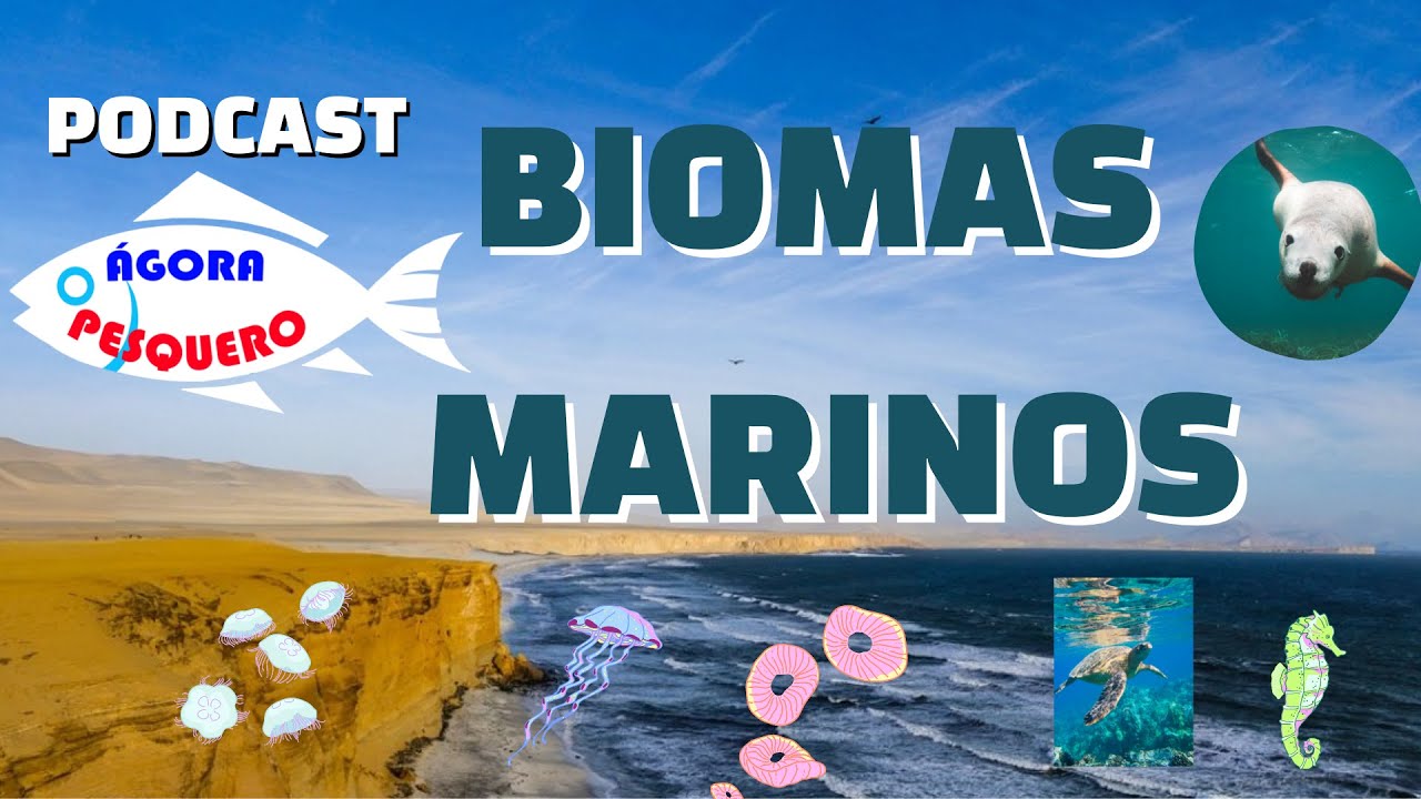 BIOMAS MARINOS EN LAS COSTAS DEL PERÚ