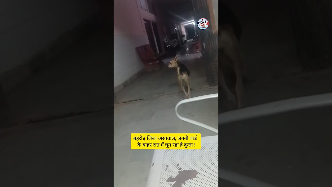Shameful reality of Behror district hospital | AC off, dog roaming outside maternity ward #vivekm...