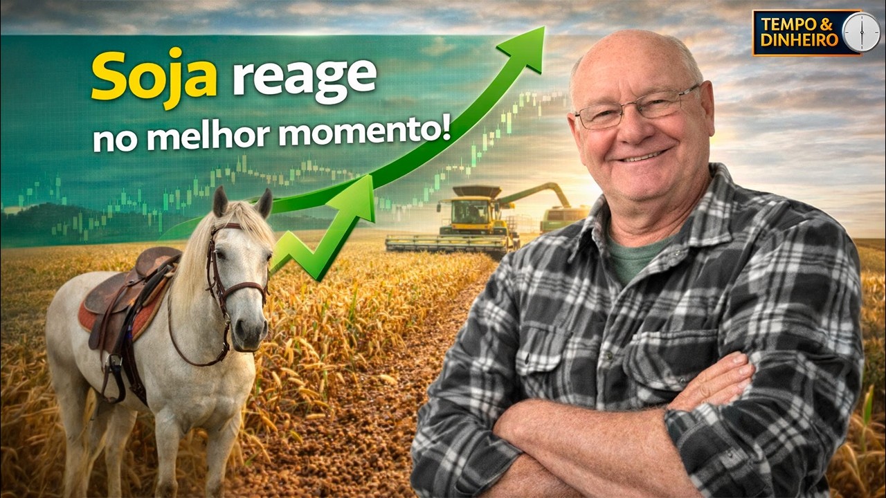O cavalinho da soja voltou e o mercado começa a reagir em Chicago