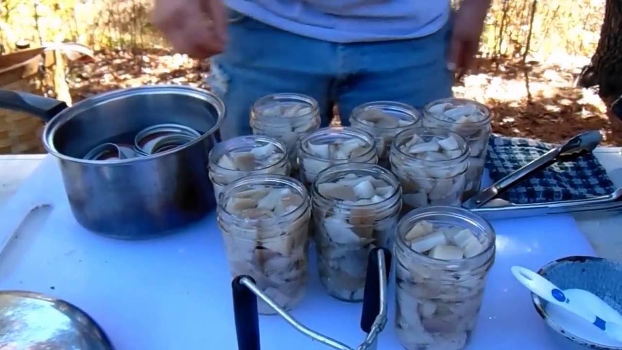 Canning Wild Oyster Mushrooms