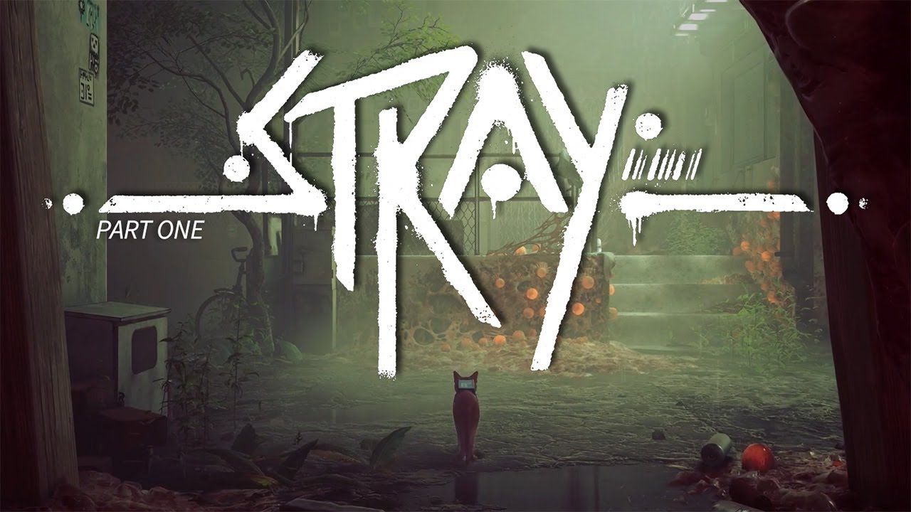 Just a STRAY Kitty in a Big City [Part 1]