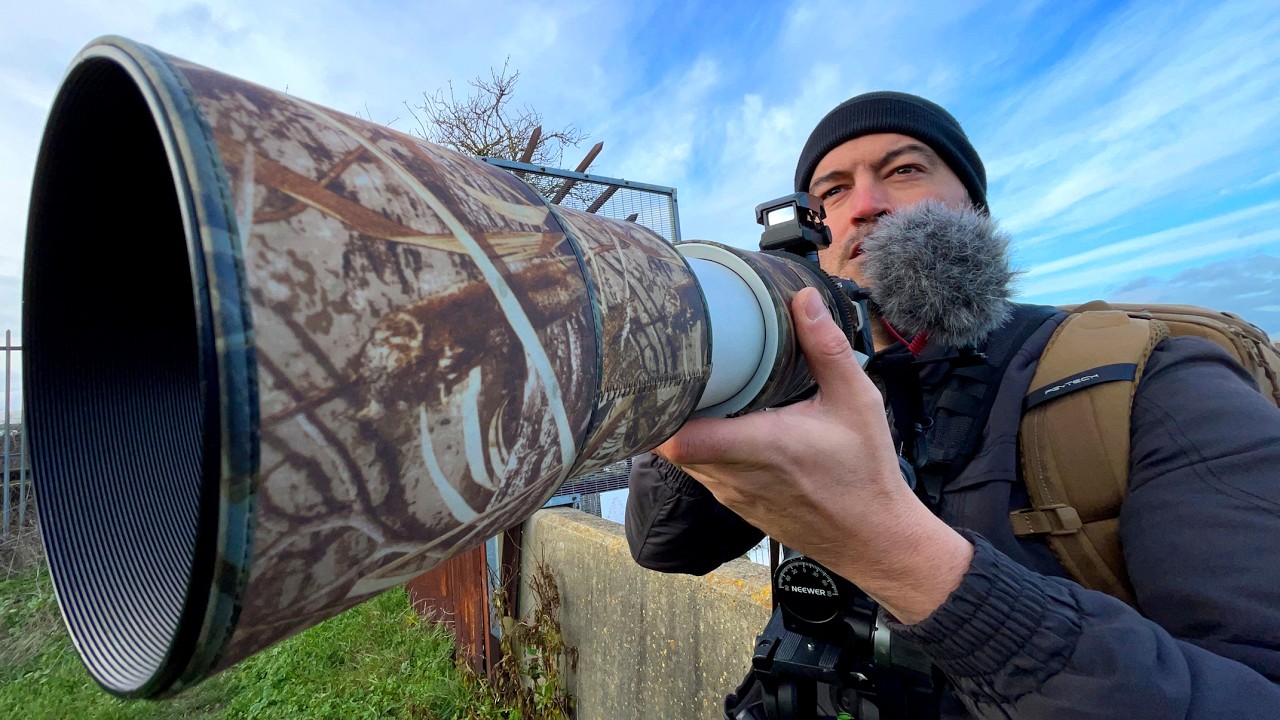 Объектив Canon RF 200-800mm для съемки птиц в полете. Насколько он функционален?