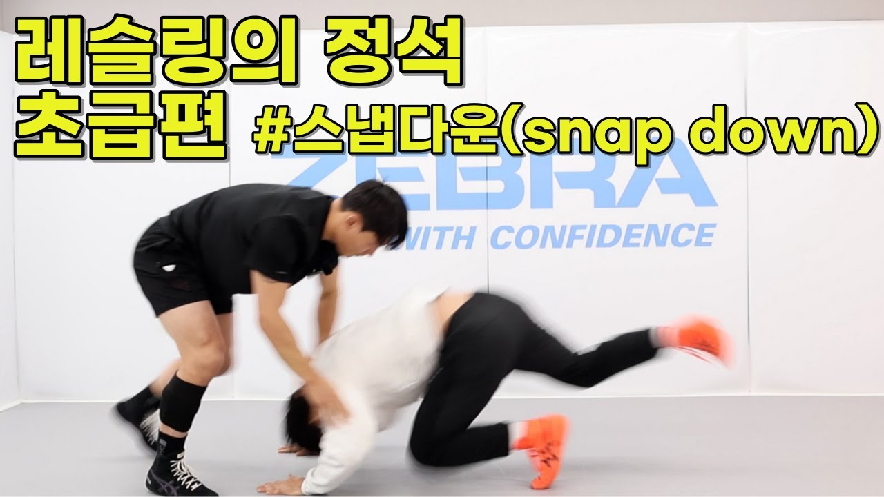 레슬링의정석 초급편 [스냅다운 snap down]