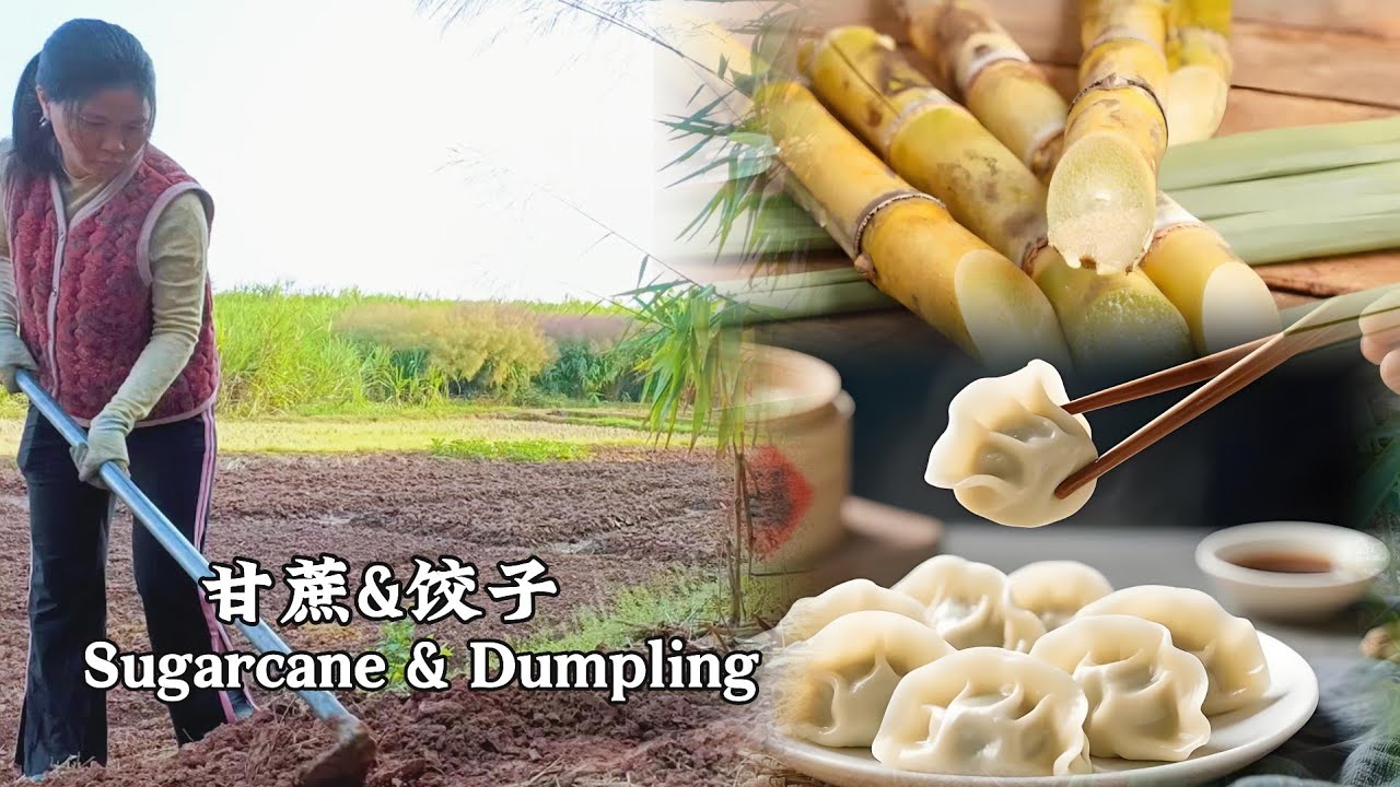 From the Field to the Kitchen | Sugarcane Planting & Homemade Pork Dumplings 【Li’s Four Seasons】