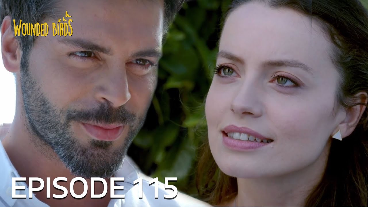 Wounded Birds | Episode 115