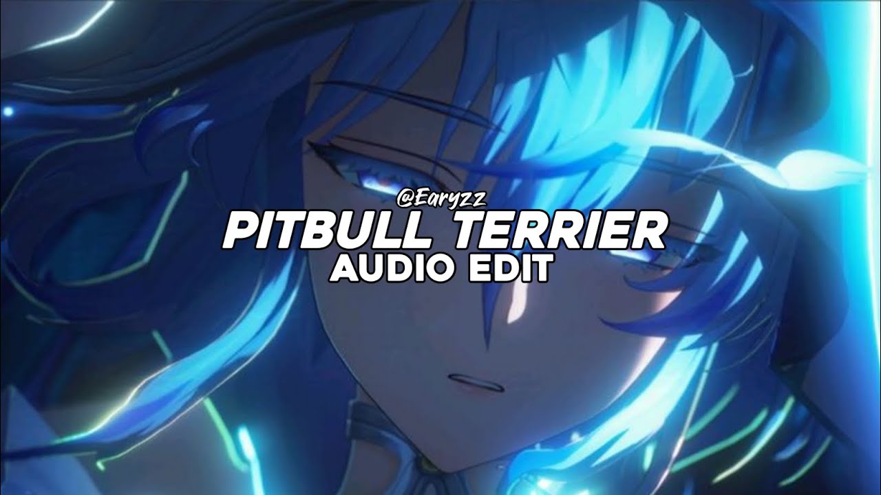 pitbull terrier - die antwoord [edit audio]